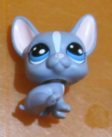 LIKE NEW Littlest Pet Shop Buster Brindle 62 French Bulldog Puppy Dog New Generation Authentic Lps Nov3ni