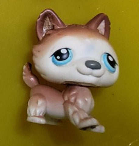 Littlest Pet Shop 68 Brown White Husky Blue Eyes Puppy Dog Authentic Lps Minor Wear MAY14J86