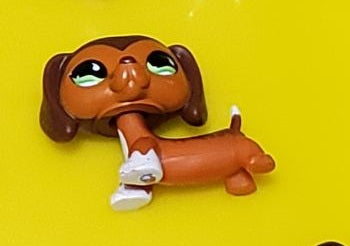 Littlest Pet Shop Savannah Dachshund Dachsund Savvy  675 HTF LPS Dashund Authentic JUN11J