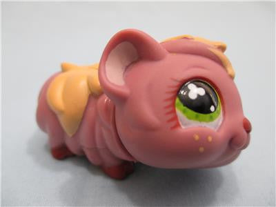 Littlest Pet Shop 510 Purple & Yellow Guinea Pig Freckles Green Eyes Authentic MAY30JI