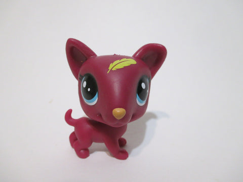 LIKE NEW Littlest Pet Shop Lucky Pets Fortune Cookie Dog Bullterrier Bull Terrier Palmer Authentic AIK May06na