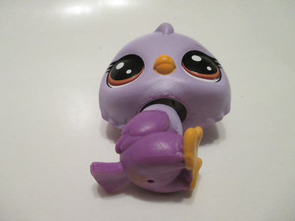 Littlest Pet Shop New Generation Purple Owl Oona Owler 1-77 Authentic LPS JUN5J
