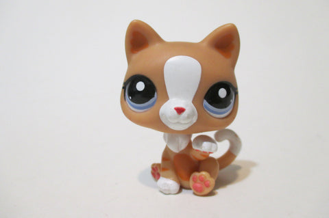 Littlest Pet Shop Rare Orange Cat Kitten 2095 Authentic AIK MAR05JI
