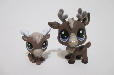 Littlest Pet Shop New Edition Rare Chillin' Together Moose Cow 1-159 1-160 Jason & Dina Caribooney Fuzzy Horn Authentic Apr23npo110