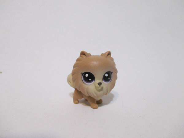 Littlest Pet Shop Mini Baby Sweetie Pom-Pom Pomeranian 2-90 Dog Authentic Lps JUN5J