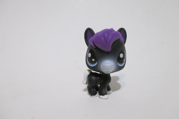 LIKE NEW Littlest Pet Shop Mini Baby Black Horse 1-20 Dusky Burrita  Authentic Lps DEC08J