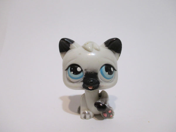 Littlest Pet Shop Magic Motion Persian Cat Authentic LPS OCT26J
