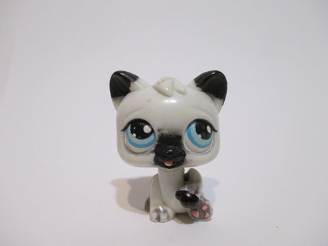 Littlest Pet Shop Magic Motion Persian Cat Authentic LPS OCT26J