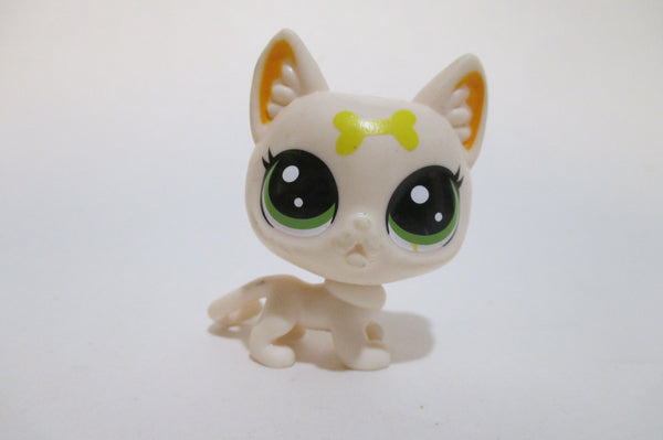 Littlest Pet Shop No Number Pizzazz White Lucky Cat Yellow Bone Fortune Cookie Authentic LPS JN28JI AIK SEE VIDEO