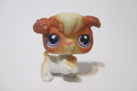 Littlest Pet Dog Shop Dog Poodle 37 Authentic Lps  May21npo58