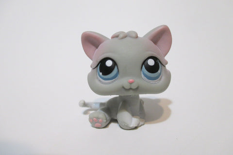 Littlest Pet Shop Grey Gray Baby Kitten Cat 198 Authentic APR13J SEE VIDEO