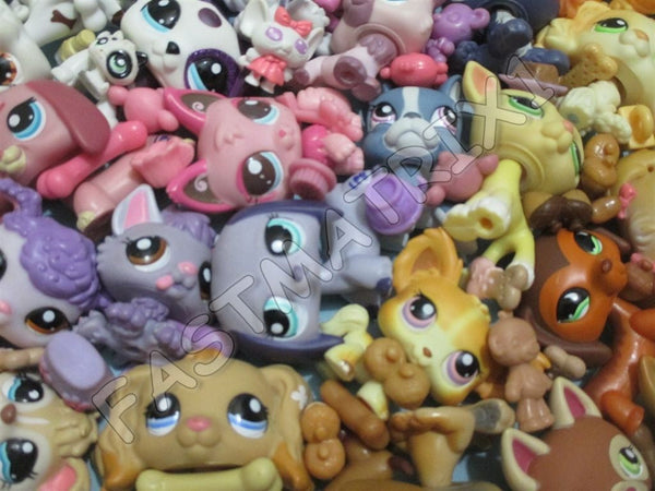 Littlest Pet Shop LPS LOT 4 pcs ( 1 Dog + 3 Clothing Accessories ) LPS RANDOM GIFT 100% Authentic SEE VIDEO