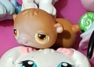Littlest Pet Shop Orange with White Hamster 34 Authentic Nov21na