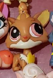 Littlest Pet Shop New Generation Yorkie Dog Puppy Benson Detwyler Authentic Nov26ni