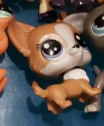 Littlest Pet Shop Blossom Corgo 1-119 Corgi Authentic JUN5J