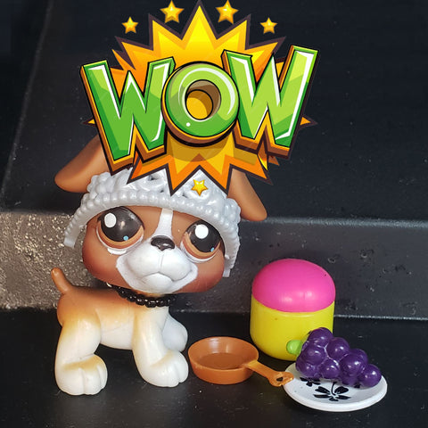 Littlest Pet Shop Royal Snack Boxer 25 with Random Accessories Set Authentic Sep20ni SEE VIDEO