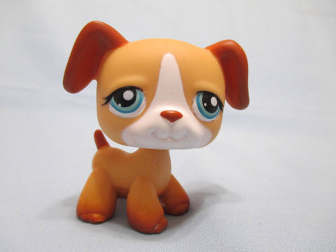 LIKE NEW Littlest Pet Shop Dog Boxer 218 Puppy Authentic Lps  APR29J