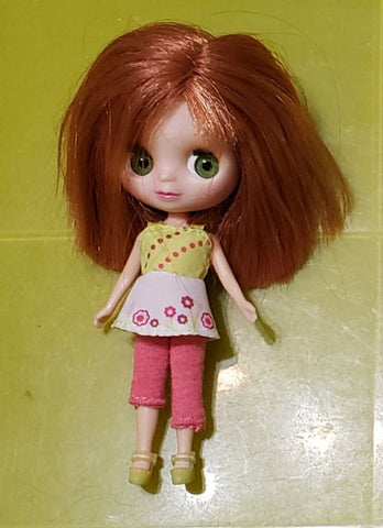 Blythe Doll Loves Littlest Pet Shop Outdoor Afternoon B12 Doll Figure Authentic  MAY19J