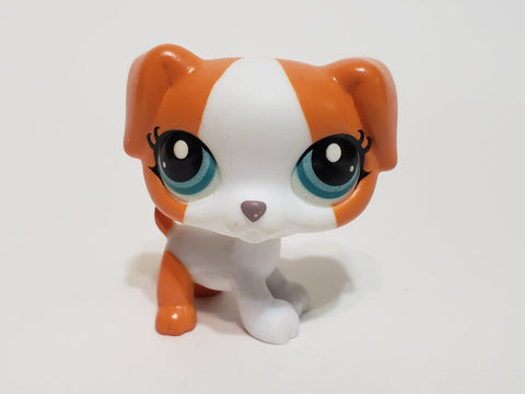 Littlest Pet Shop G7 Jack Russell Puppy Dog #165 Authentic LPS MAY22J