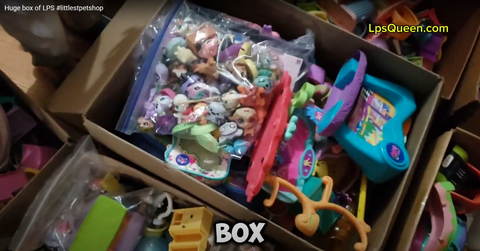 GIVEAWAY Littlest Pet Shop Lot of 20 LBS Box Full of Toys Figures, Houses, Accessories, & Parts SOLD AS IS APR25J SEE VIDEO