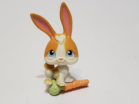 Littlest Pet Shop Yellow Purple Bunny Rabbit 75 with Accessory Set Authentic LPS APR02J SEE VIDEO