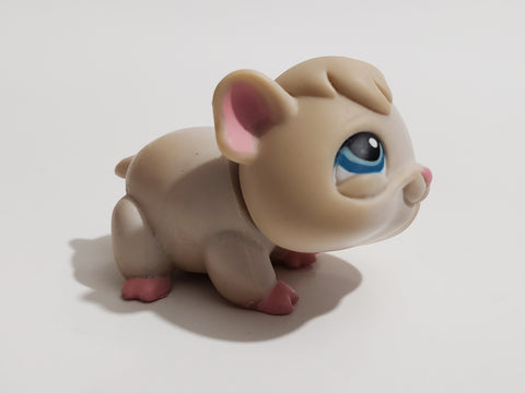 LIKE NEW Littlest Pet Shop Guinea Pig Hamster 288 Authentic LPS Apr07ni