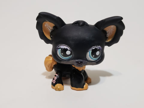 LITTLEST PET SHOP DOG CHIHUAHUA BLACK BROWN with BLUE EYES 1571 Authentic Blemished As Shown APR12J86