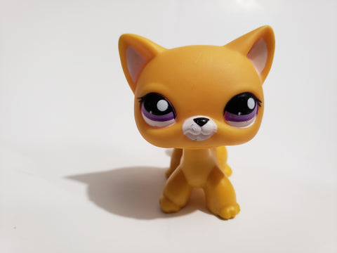 Littlest Pet Shop Super Rare Shorthair Cat Siamese Ranch 2433 Authentic Lps APR21A