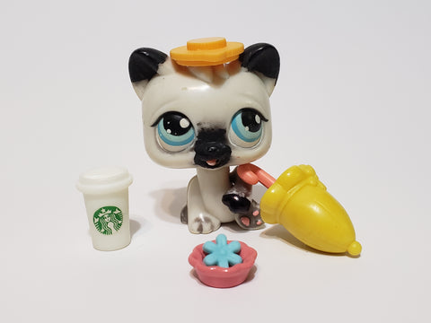 Littlest Pet Shop Chill with a Coffee Cup Magic Motion Cat w Accessory Set Authentic Comes As Shown APR25J86