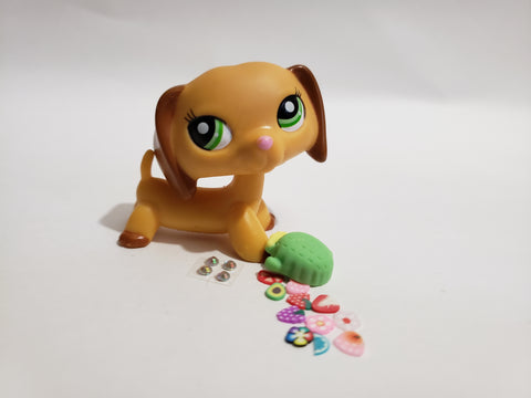 Littlest Pet Shop 2597 Rare Golden Dachshund Dachsund Duchshund  Weiner Dog with Food Accessory  LPS Aftermarket? LPS APR30J