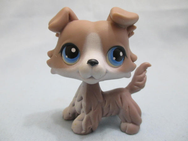 Littlest Pet Shop Dog Collie 67 Blue Dot Eyes Authentic Lps Main 5 FEB7J