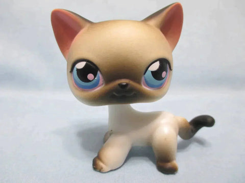Littlest Pet Shop Cat Siamese Shorthair 5 Authentic Lps JUN03J