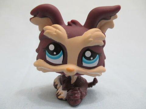 Littlest Pet Shop 1473 Dark Purple Tan Yorkie Puppy Dog Lps Authentic May02npo18