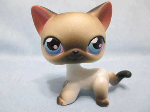 Littlest Pet Shop Cat Siamese Shorthair 5 Authentic Lps NOV15NPO31