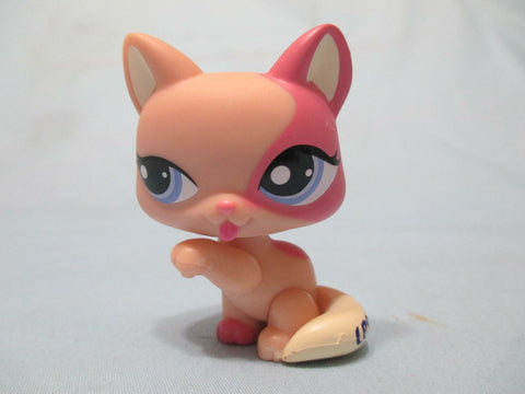 Littlest Pet Shop Cream Pink Shorthair Licking Paw Cat 1402 Authentic Lps Jan23na
