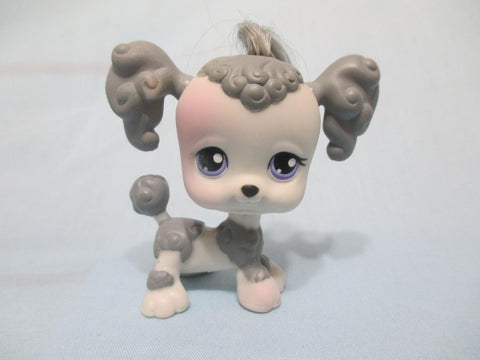 LIKE NEW Littlest Pet Shop Grey Gray Poodle Dog Purple Eyes Real Hair 292  Authentic APR04J