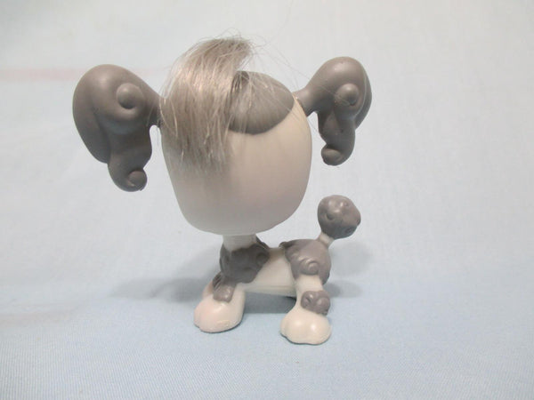 LIKE NEW Littlest Pet Shop Grey Gray Poodle Dog Purple Eyes Real Hair 292  Authentic APR04J