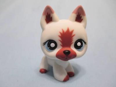 Littlest Pet Shop German Shepherd Dog 1421 Authentic Lps May14ni