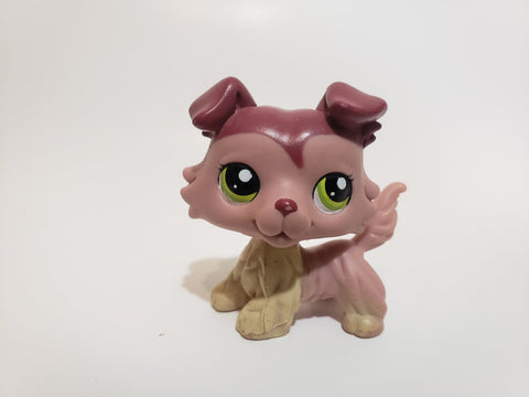 Littlest Pet Shop LPS Collie Dog Puppy 1723 Mauve Plum with Green Eyes Swirl Curl RARE Authentic LPS MAY07J