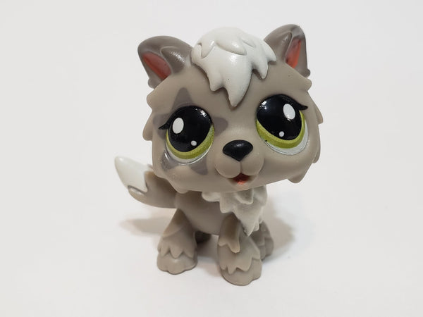 LIKE NEW Littlest Pet Shop Gen 7 G7 Wolf #148 Authentic LPS Mar5ni