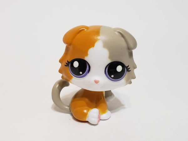 LIKE NEW Littlest Pet Shop G7 Gen 7 Scottish Fold Longhair #152 Authentic LPS Dec8n