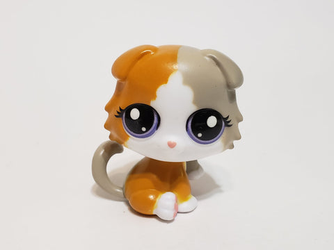 LIKE NEW Littlest Pet Shop G7 Gen 7 Scottish Fold Longhair #152 Authentic LPS Dec8n