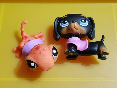 LIKE NEW Littlest Pet Shop Pet Pairs Black Dachshund 325 Orange Gecko Lizard 326 w/ Original Sweater Dress Accessories See Video Jan15ni