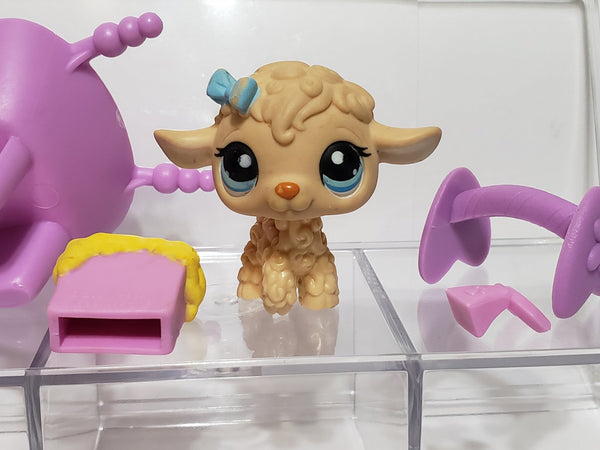 Littlest Pet Shop Peach Tan Brown Lamb Sheep 447 Blue Eyes & Bow w/ Purple Pink Accessories Set Authentic Blemished As Shown Jan22ni