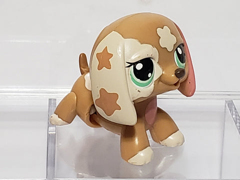Littlest Pet Shop Walkables Themed Pack Dachshund Dachsund Duchshund BATTERIES INCLUDED 2163 Dog Authentic Jan23na