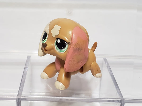 Littlest Pet Shop Walkables Themed Pack Dachshund Dachsund Duchshund BATTERIES INCLUDED 2163 Dog Authentic Jan23na