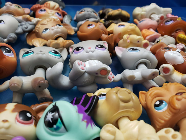 Littlest Pet Shop Bulldog 135 Yellow and Brown Pink Blue Eye Dog Authentic Lps Jan28ni