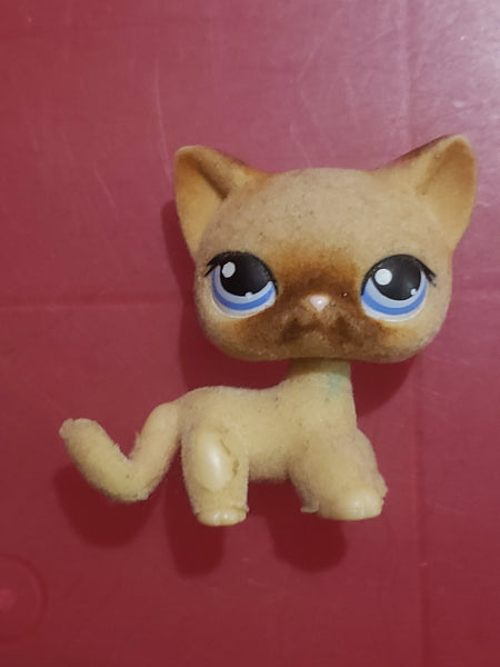 Littlest Pet Shop Cat Shorthair Siamese 318 US Seller Authentic Has Initial Jan30na