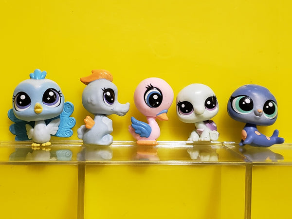 Littlest Pet Shop Set of 5 Turtles Mini Baby Babies Authentic LPS Feb20ni