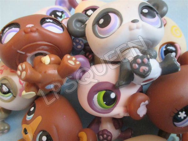 Littlest Pet Shop Lot of 3 Random Cute Panda Bears Animal Figures Authentic SEE VIDEO